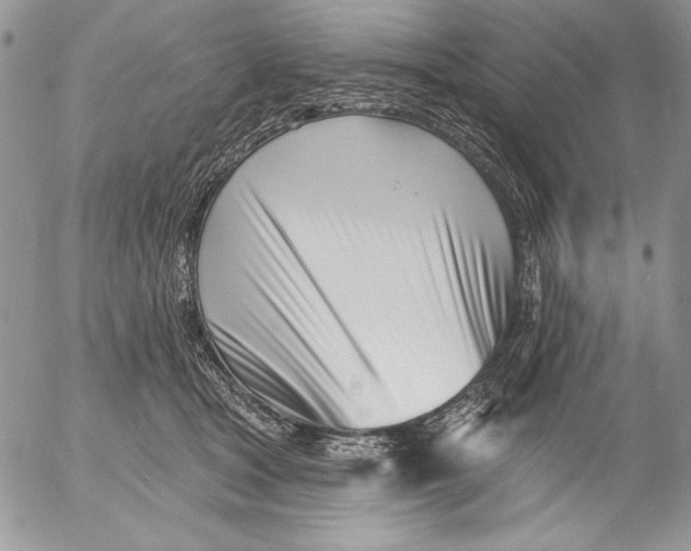 X0000053000465200507291647