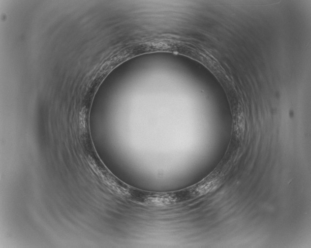 X0000053000466200507291647