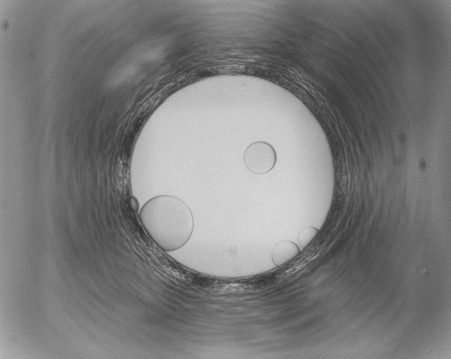 X0000053000467200507291647