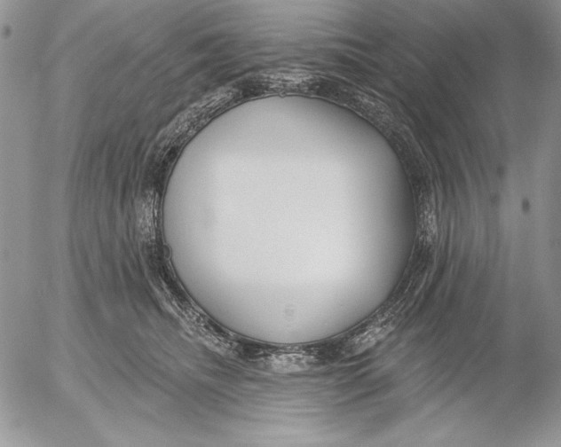 X0000053000468200507291647