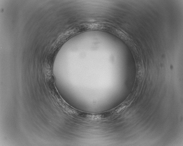 X0000053000469200507291647