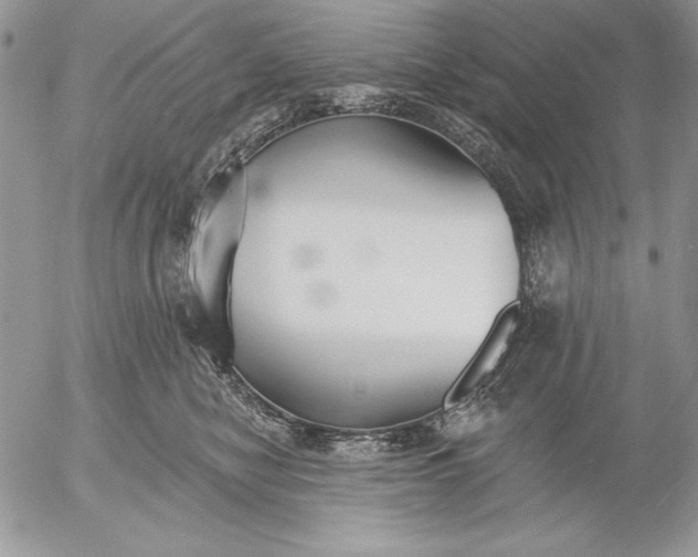 X0000053000470200507291647