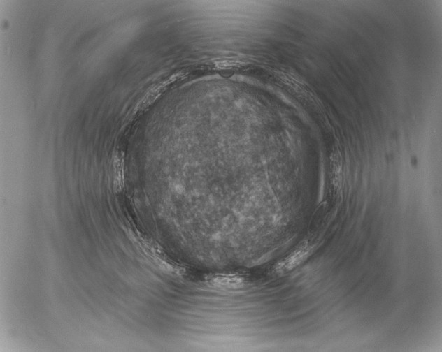 X0000053000471200507291647