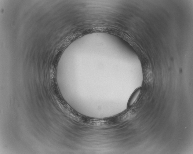 X0000053000472200507291647