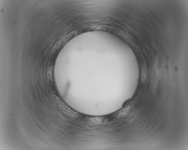 X0000053000473200507291647