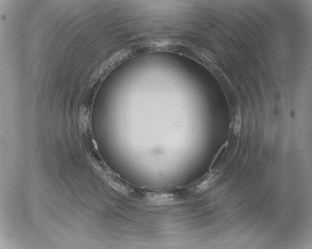 X0000053000476200507291647