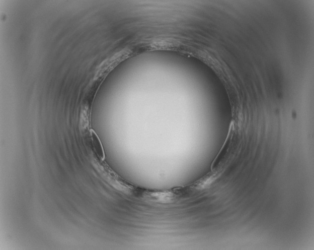 X0000053000478200507291647