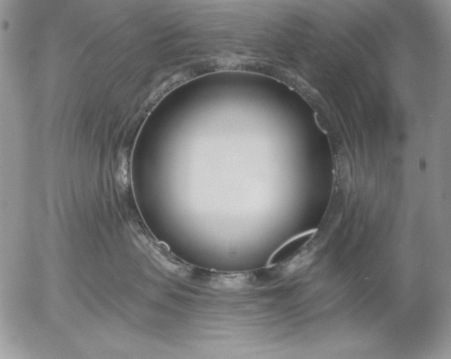 X0000053000479200507291647