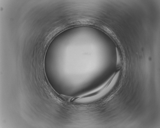 X0000053000481200507291646