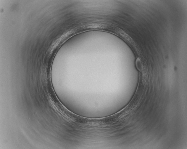 X0000053000482200507291646