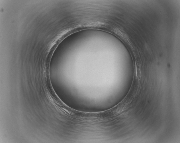 X0000053000483200507291646