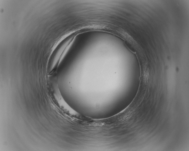 X0000053000484200507291646