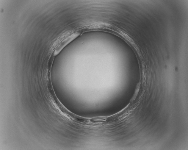 X0000053000485200507291646