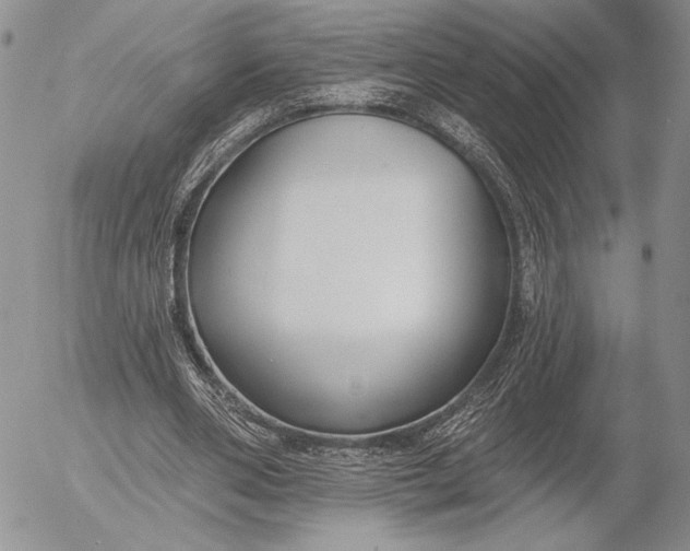 X0000053000486200507291646