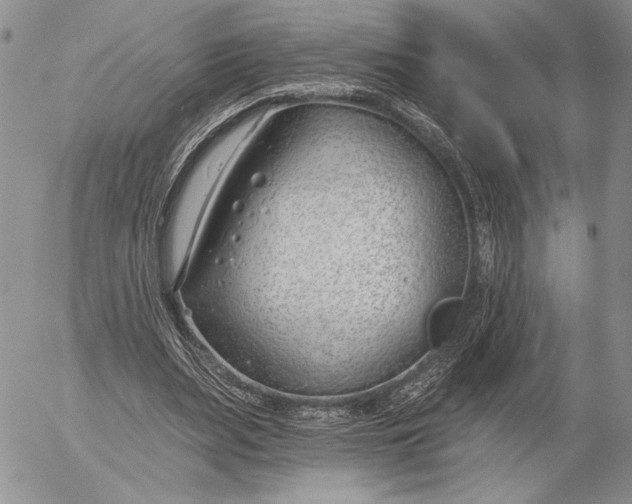 X0000053000487200507291646