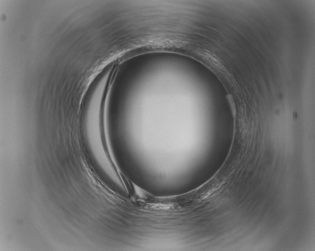 X0000053000488200507291646