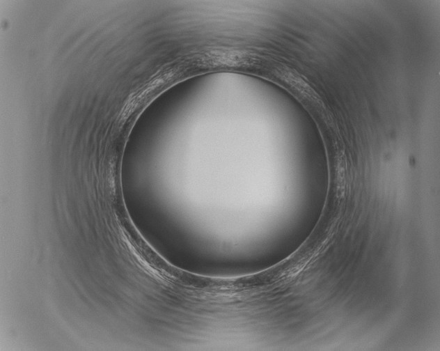 X0000053000489200507291646