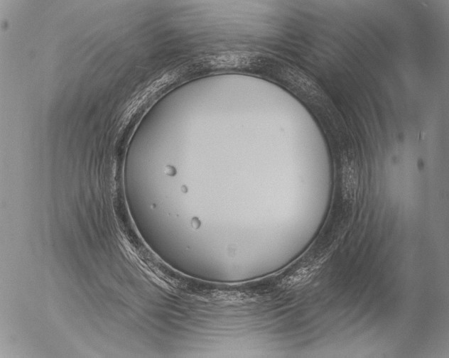 X0000053000490200507291646