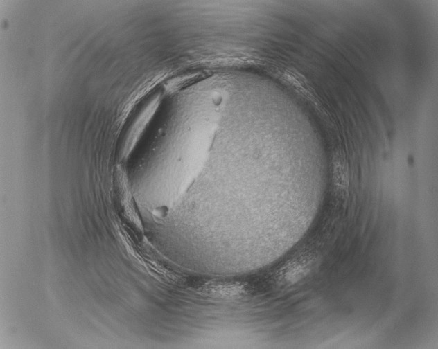 X0000053000491200507291646