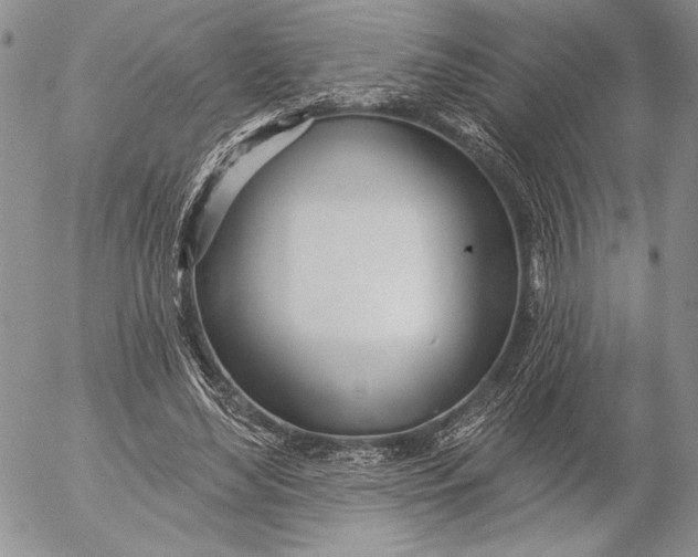 X0000053000492200507291646