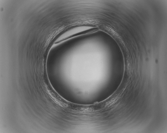 X0000053000493200507291646