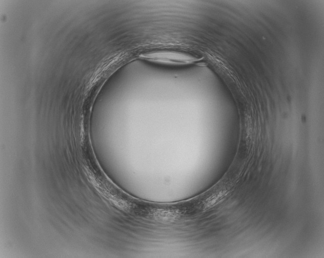 X0000053000494200507291646