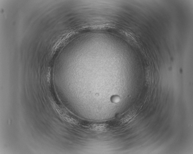 X0000053000495200507291646