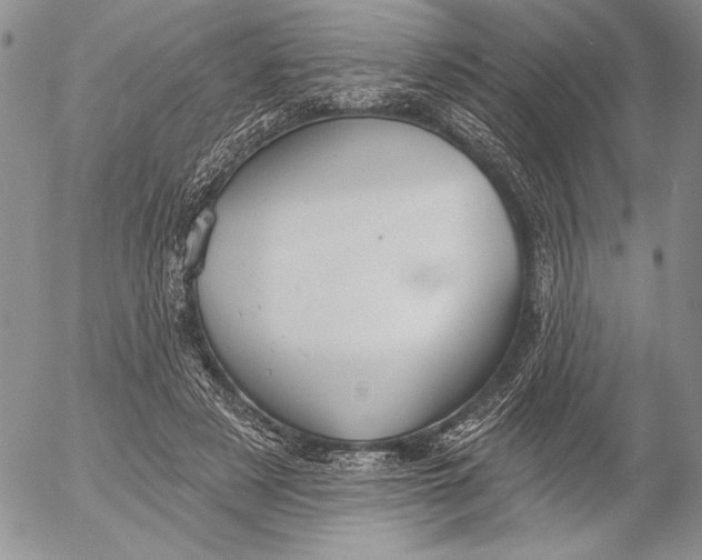 X0000053000497200507291646