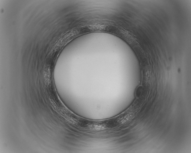 X0000053000498200507291646