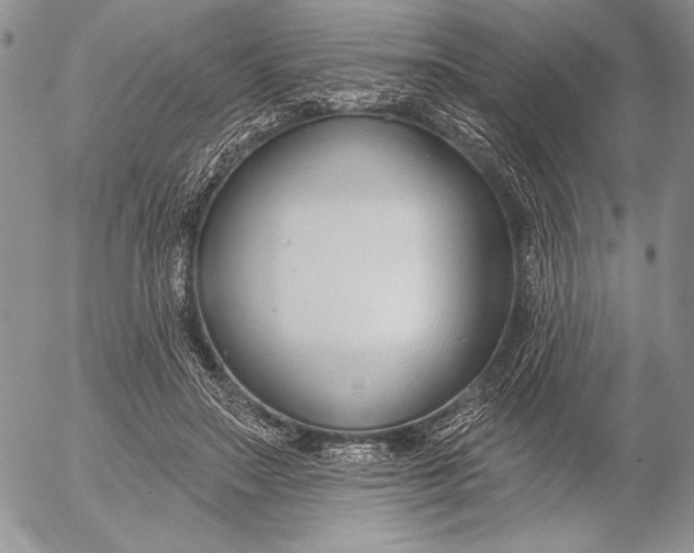 X0000053000499200507291646