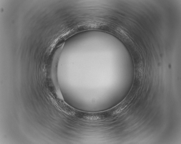 X0000053000500200507291646