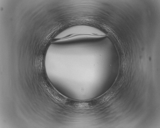 X0000053000501200507291646