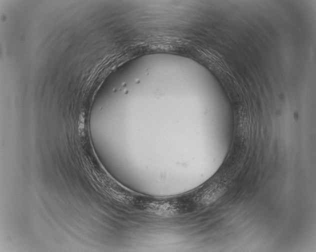 X0000053000502200507291646