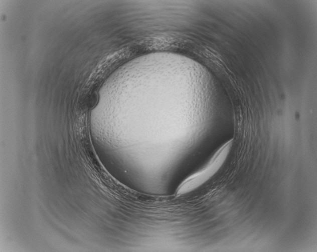 X0000053000503200507291646