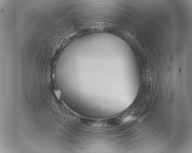 X0000053000504200507291646