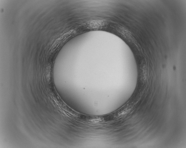 X0000053000505200507291646