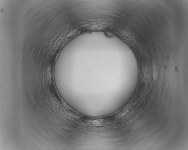 X0000053000506200507291646