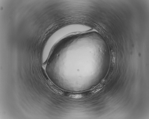 X0000053000507200507291646