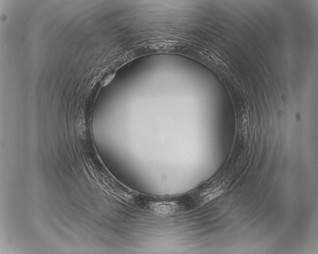 X0000053000508200507291646