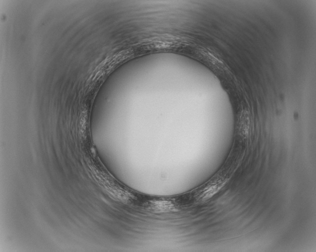 X0000053000509200507291646