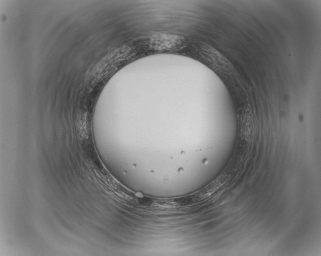 X0000053000510200507291646