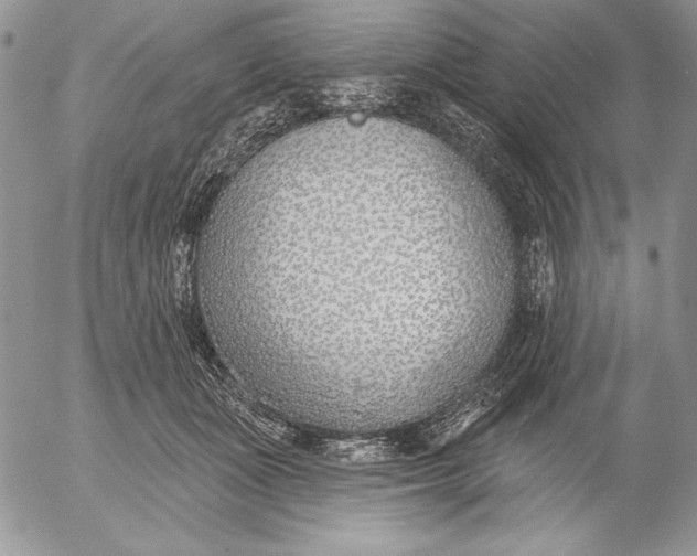 X0000053000511200507291646