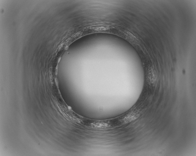 X0000053000512200507291646