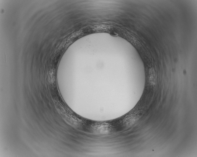 X0000053000514200507291646