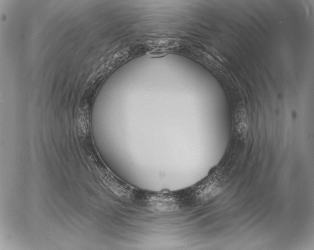 X0000053000515200507291646