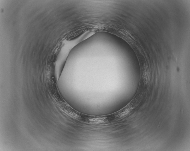 X0000053000516200507291646