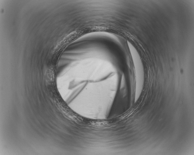 X0000053000517200507291646