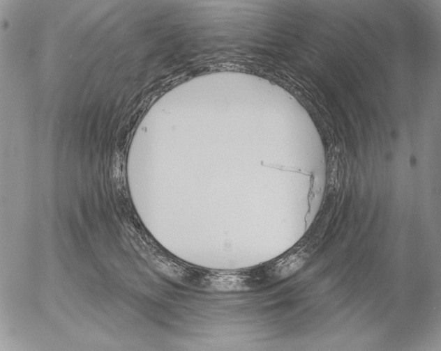 X0000053000518200507291646