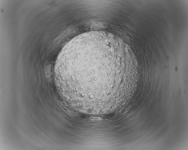 X0000053000519200507291646