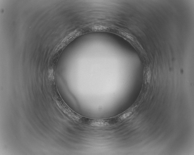 X0000053000521200507291645